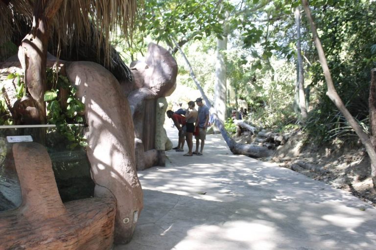 centro mexicano de la torruga mazunte oaxaca actividades para hacer con niños viajar aire libre 768x512