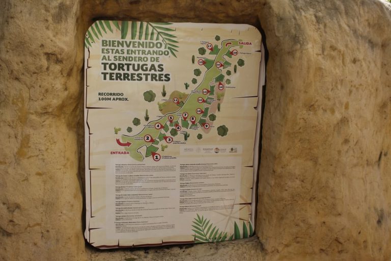 centro mexicano de la torruga mazunte oaxaca actividades para hacer con niños viajar aire libre sendero 768x512