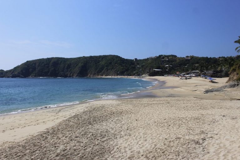 centro mexicano de la tortuga mazunte oaxaca actividades para hacer con niños viajar 768x512