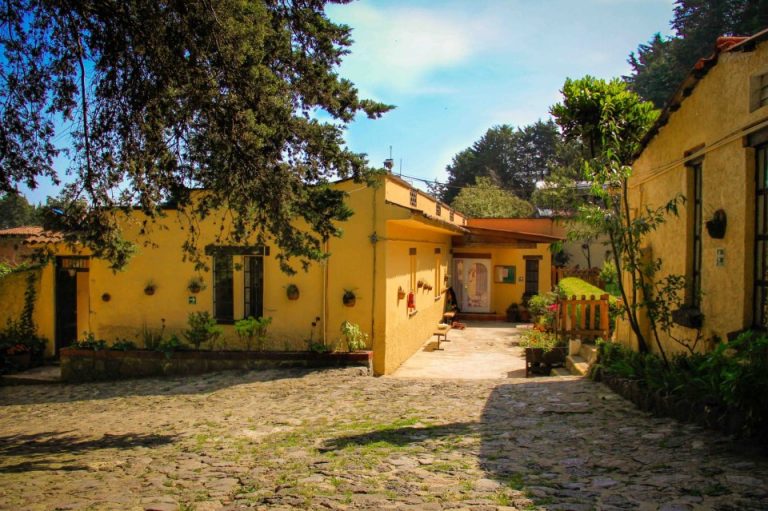 bosque de micael waldorf escuela school fest momadvisor 1 768x511