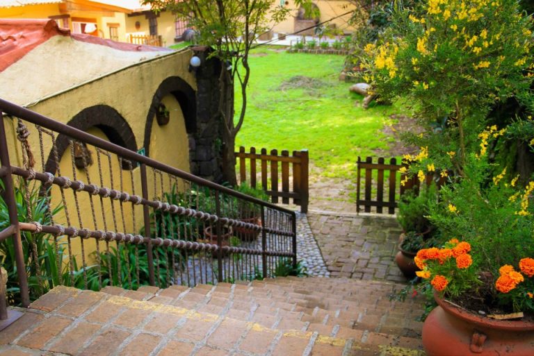 bosque de micael waldorf escuela1 school fest momadvisor 768x513