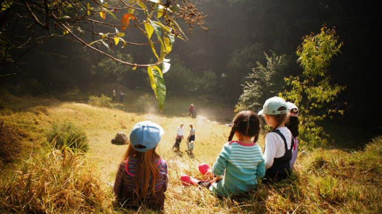 bosque de micael waldorf festival primavera school fest momadviso 768x432