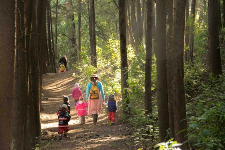 bosque de micael waldorf school fest momadvisor inscripciones1 1 768x512