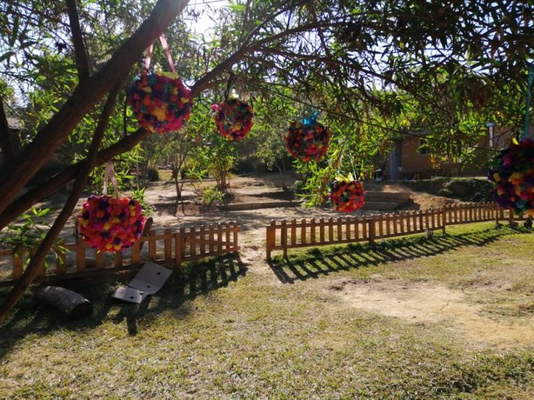 escuela waldorf papalotes oaxaca 768x576