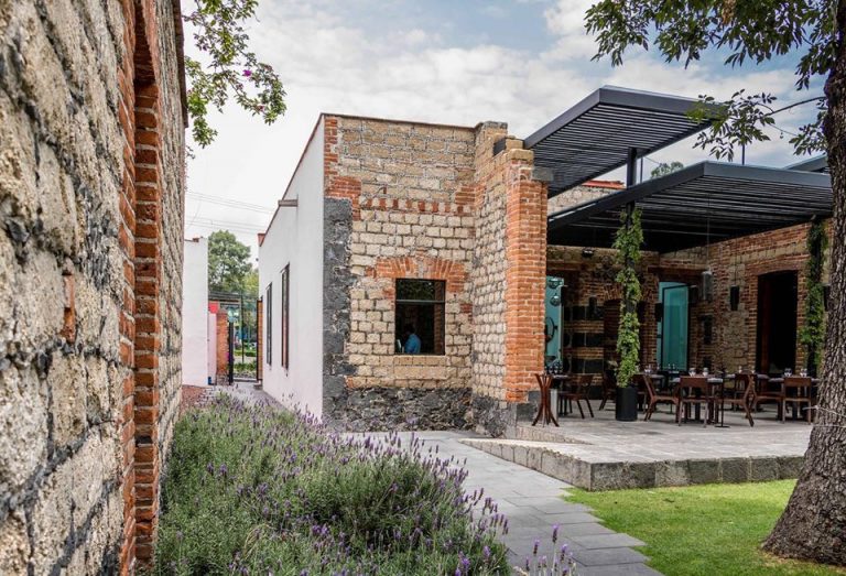 restaurante carlota san angel ciudad de mexico comer con ninos 768x523