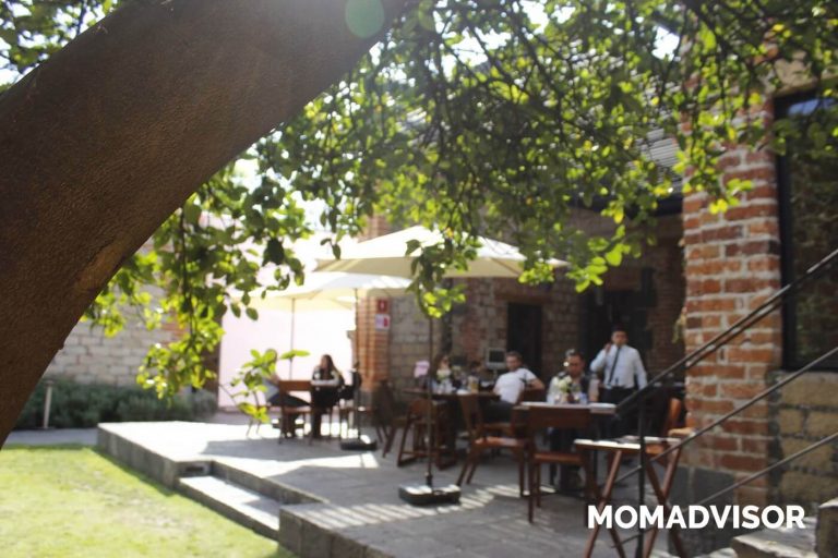 restaurante carlota san angel ciudad de mexico comer con ninos jardin 768x512