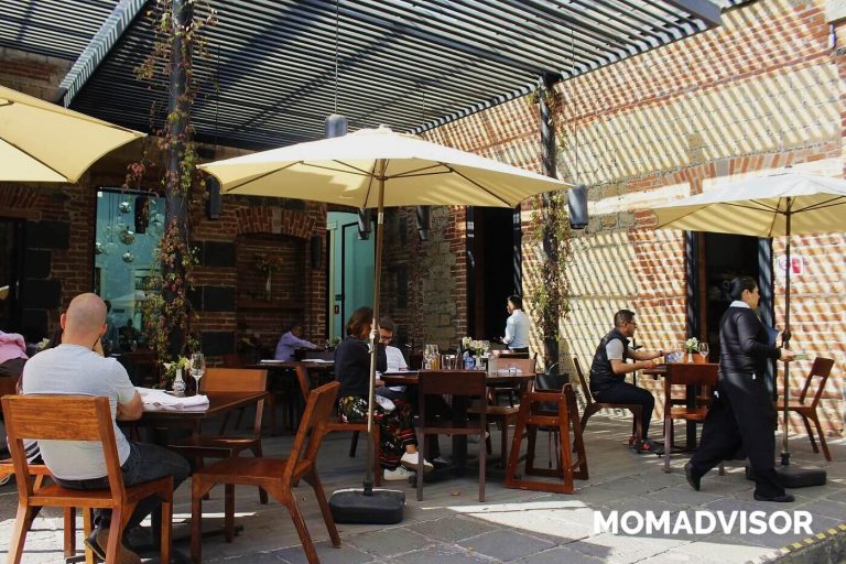 restaurante carlota san angel ciudad de mexico comer con ninos terraza 768x512