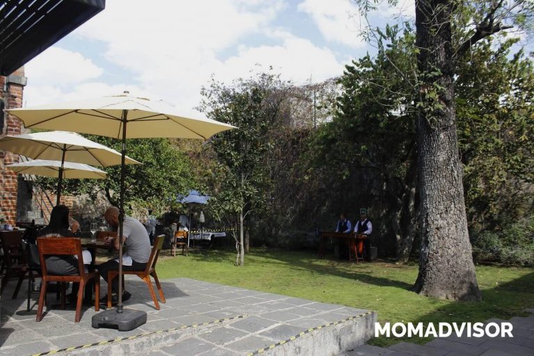 restaurante carlota san angel ciudad de mexico comer con ninos terraza jardin 768x512