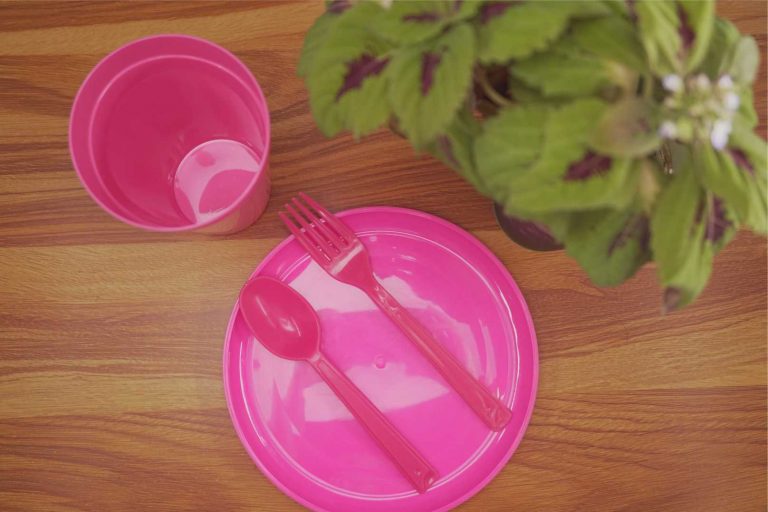 PLATO Y VASO ROSA CON PLANTA 768x512