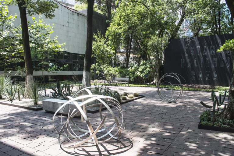 jardin 768x512