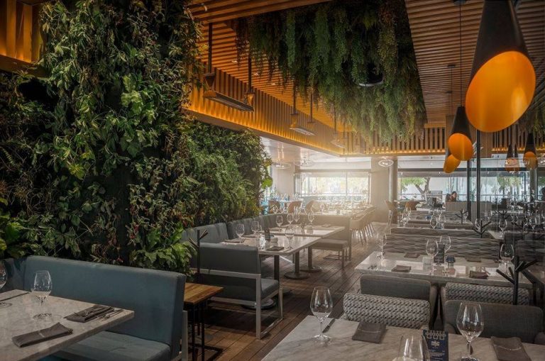 restaurante porfirios area para niños child friendly polanco cdmx ludoteca cuidadoras 768x509