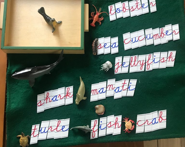 kids place montessori condesa escuela preescolar kinder primaria ingles 768x613