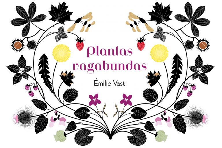 PLANTAS VAGABUNDAS 768x512