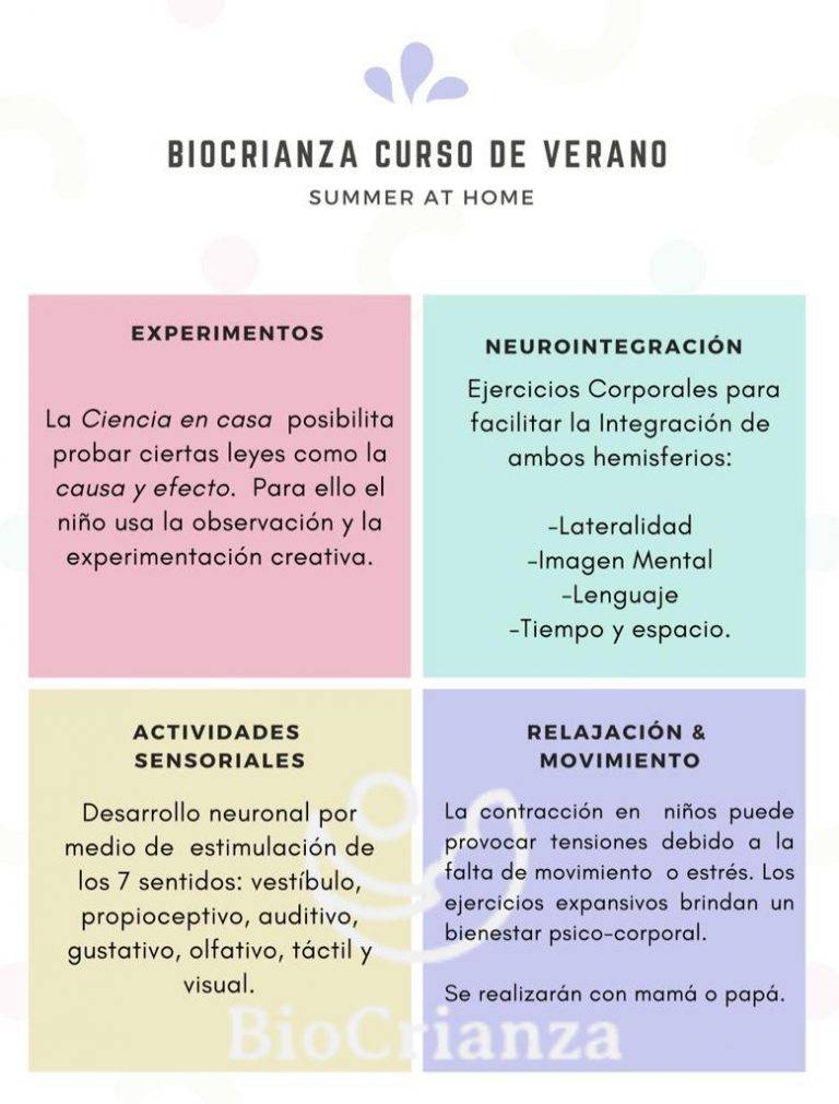 Curso 33 768x1010