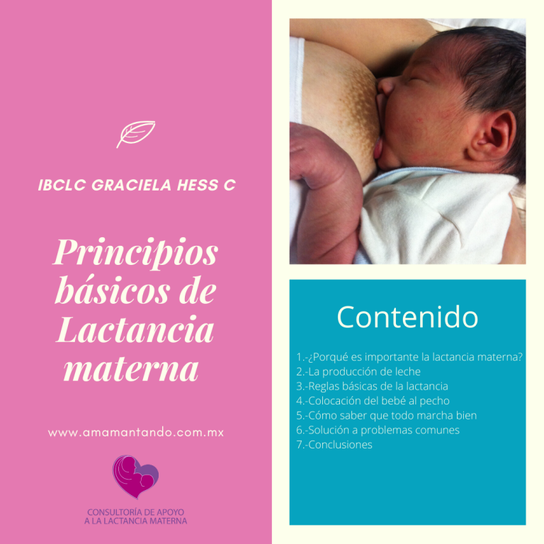 IBCLC Graciela Hess principios de la lactancia 768x768
