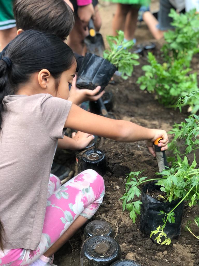 Kore huerta2