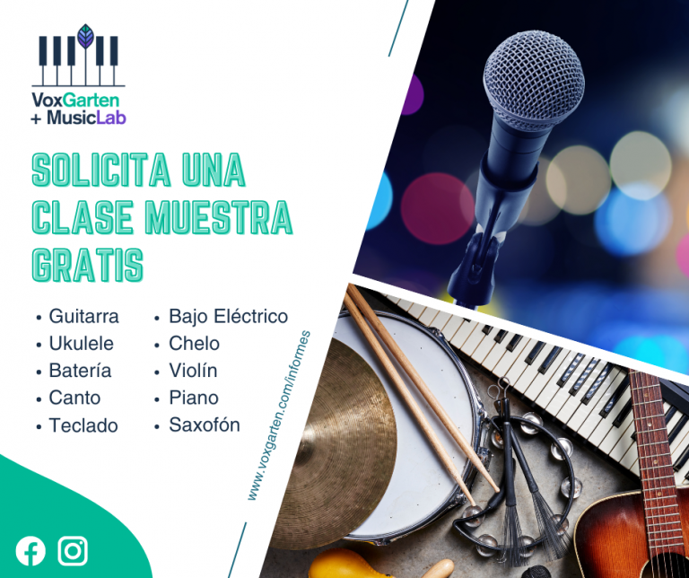 Vox Clases 768x644