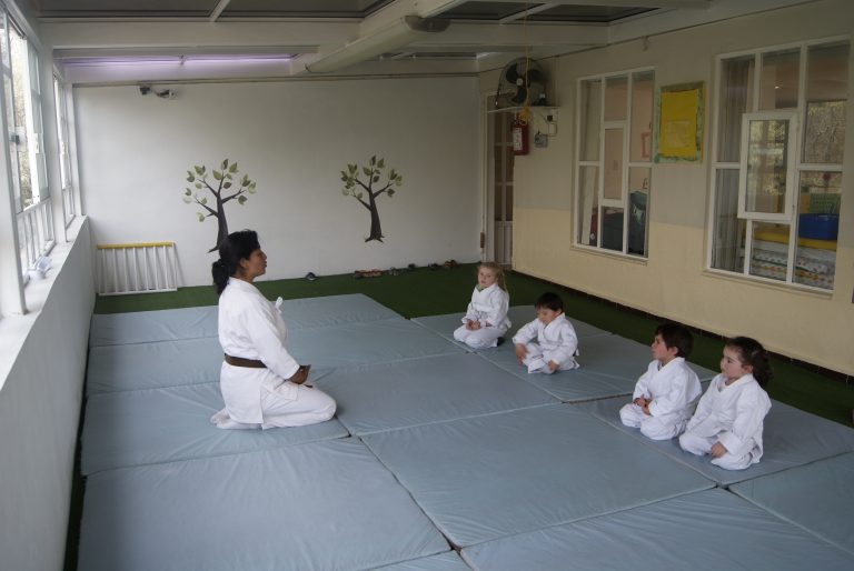 aikido 768x514