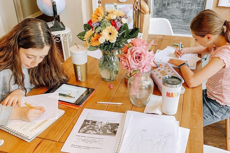 nobis pacem homeschooling world schooling home schooling educacion en casa preescolar kinder primaria secundaria libros 768x511