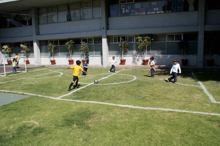 futbol 6 768x512