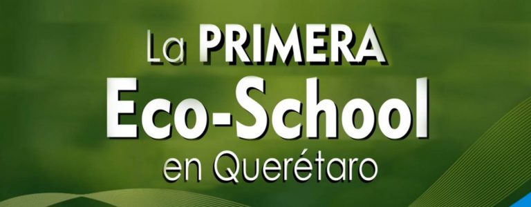colegio lenox primera eco school ecoschool 768x300