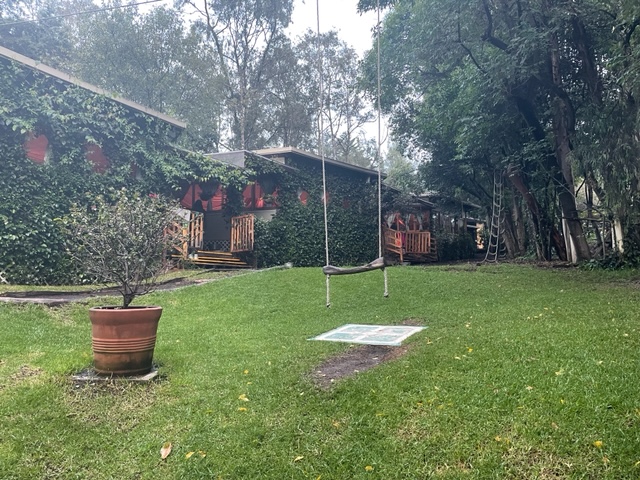 IMG 0274