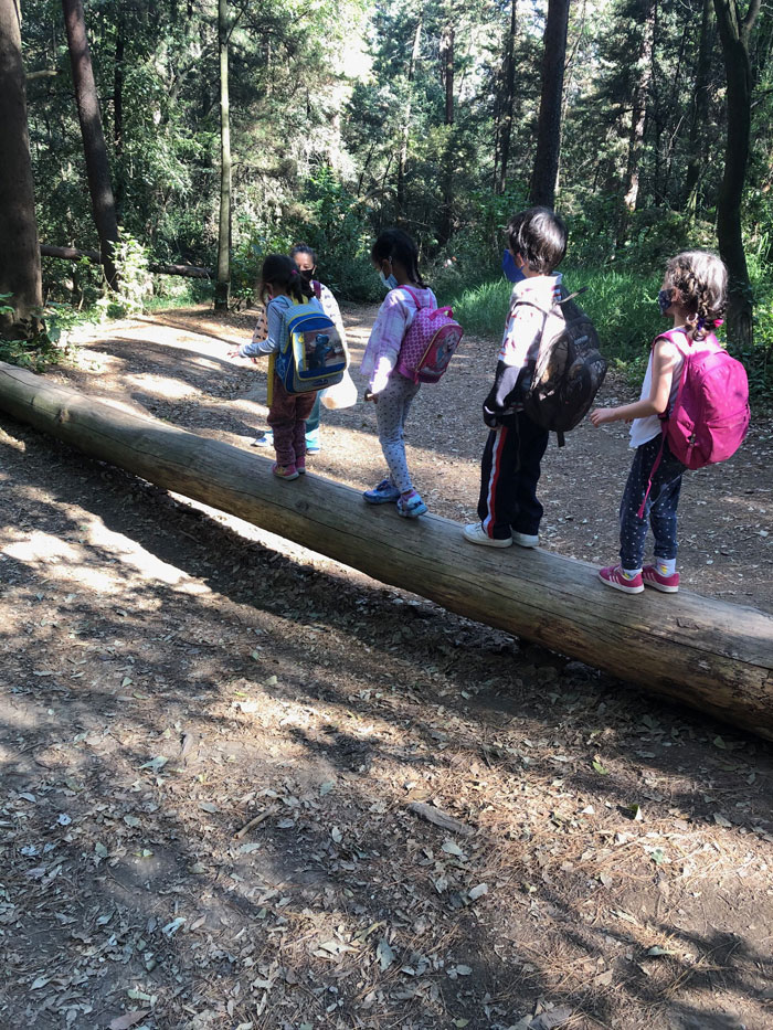 bosque2