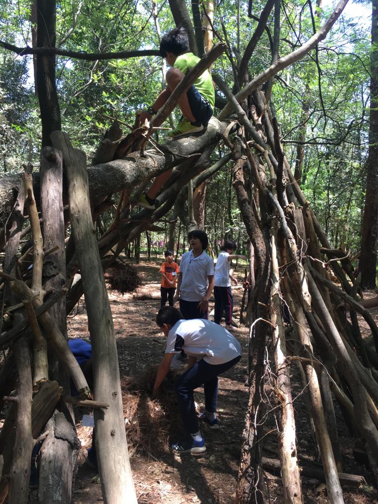 bosque3