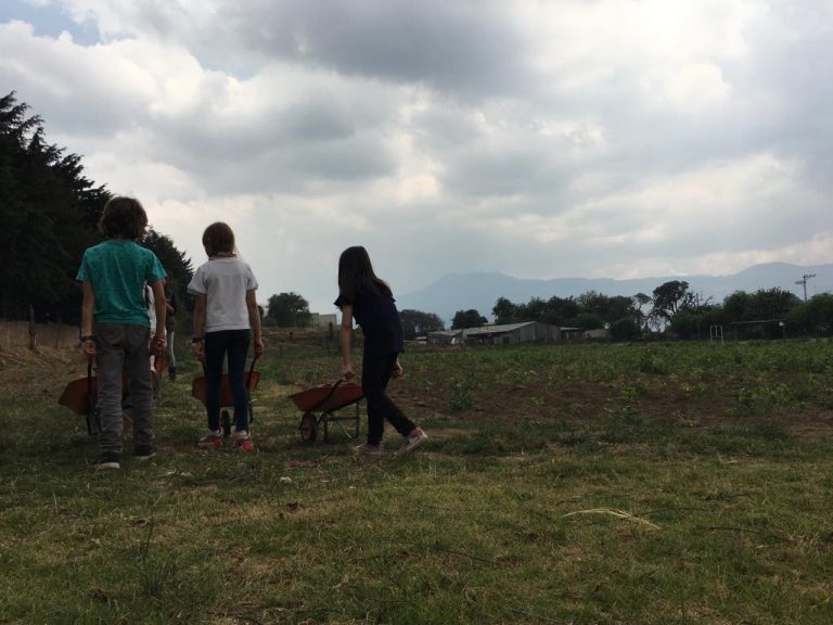 campamento agricultura 768x576