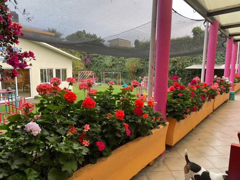 kinderwelt terraza jardin 768x576