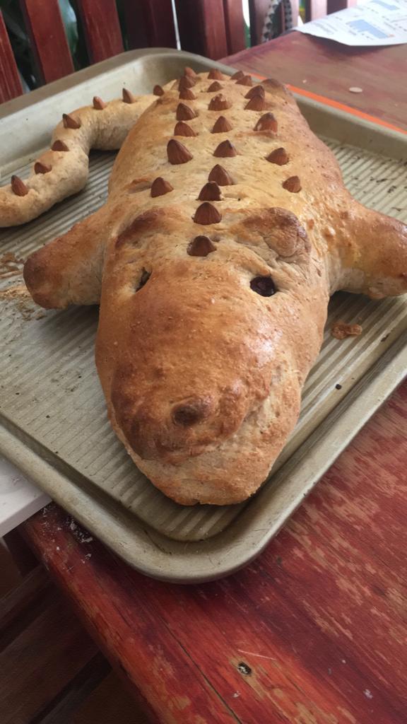 pan de cocodrilo