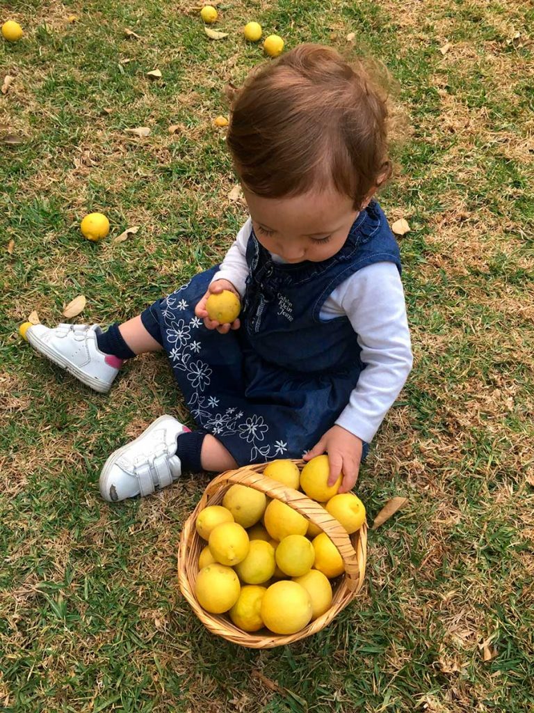 vidya montessori preescolar limones 768x1024