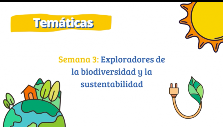 Captura de Pantalla 2022 06 23 a las 18.56.22 768x438