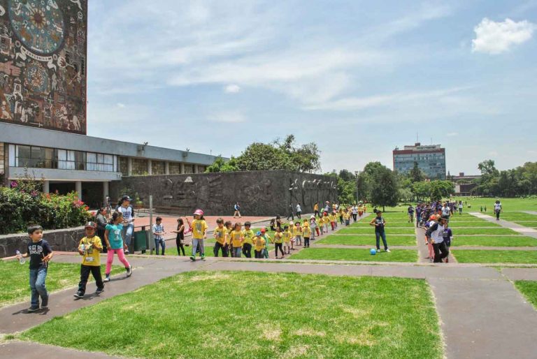 curso de verano maxikids cu 768x514