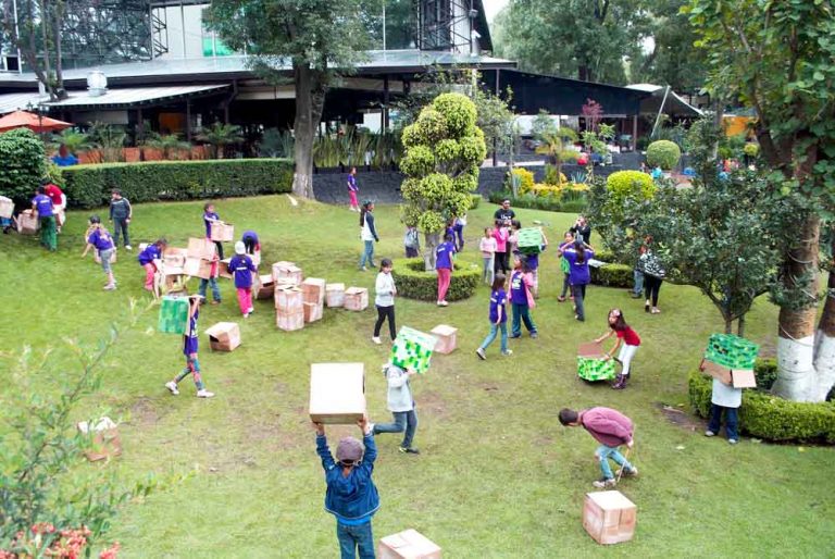 curso de verano maxikids jardin 768x514