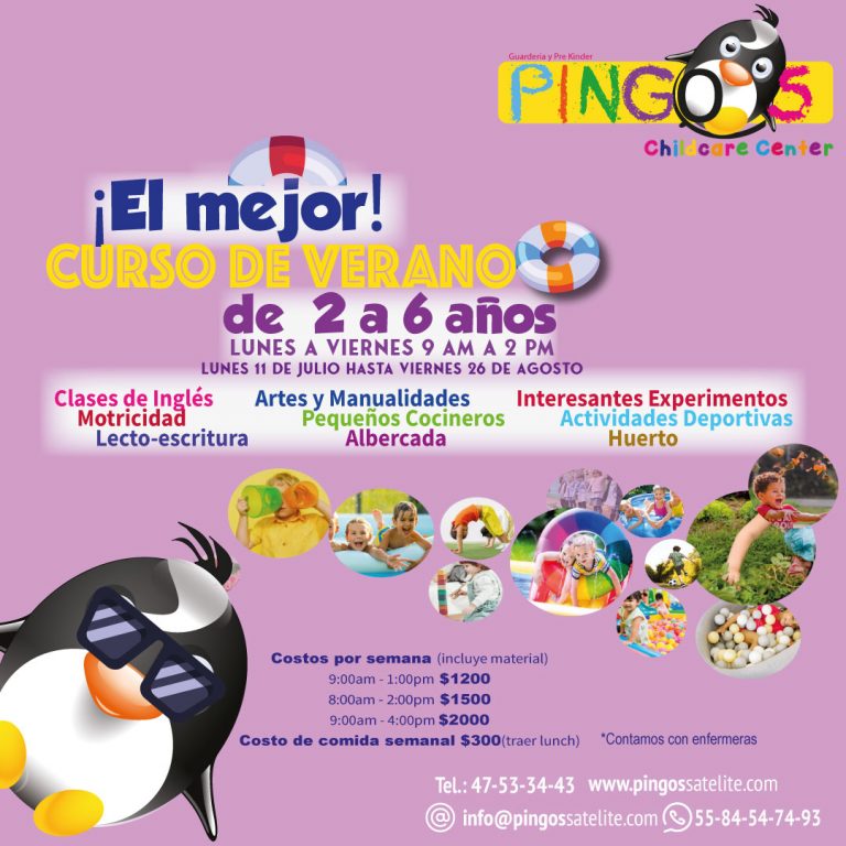 curso verno2023 PINGOS19MAY 768x768