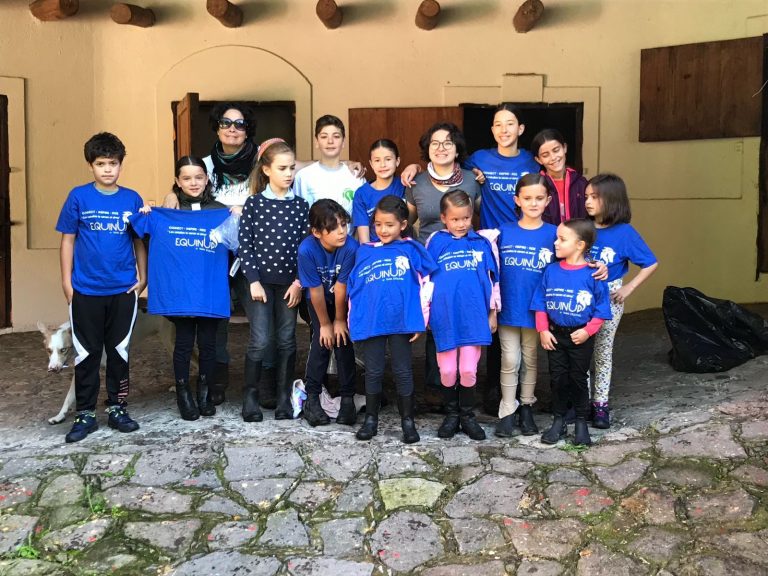 equinup curso de verano 768x576