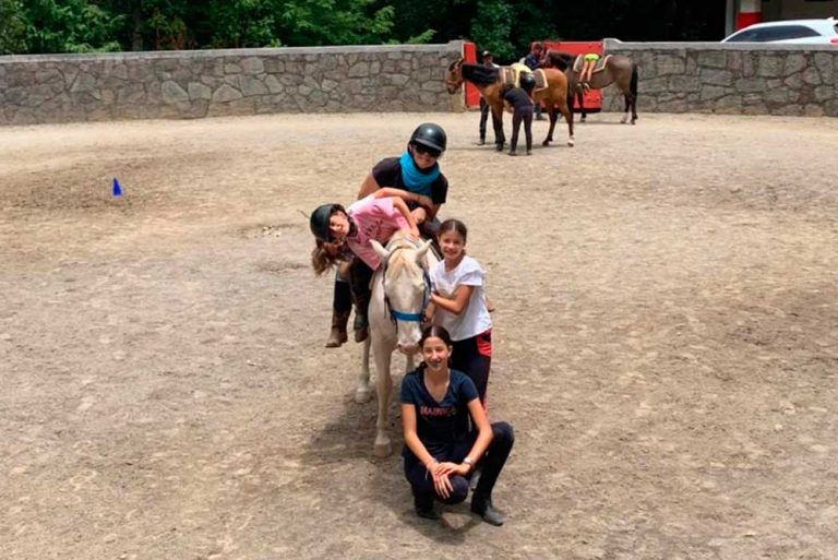 equinup curso de verano equitacion 768x513