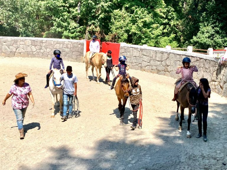 equinup curso de verano equitacion caballos 768x576