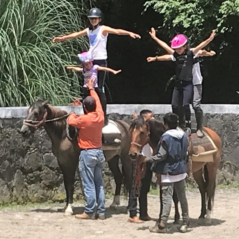 equinup curso de verano equitacion caballos valle de bravo 768x768