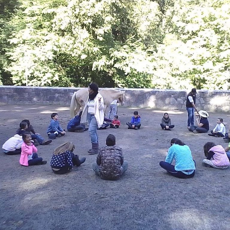 equinup verano a caballo curso de verano equinoterapia monta equitacion clase 768x768