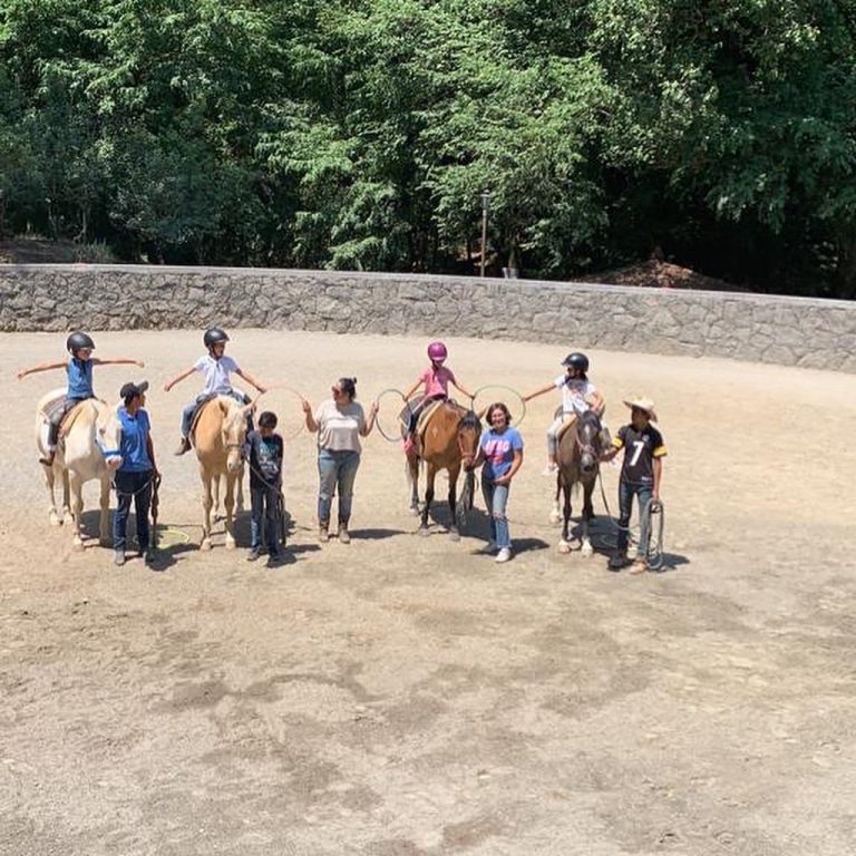 equinup verano a caballo curso de verano equinoterapia monta equitacion ejercicios 768x768