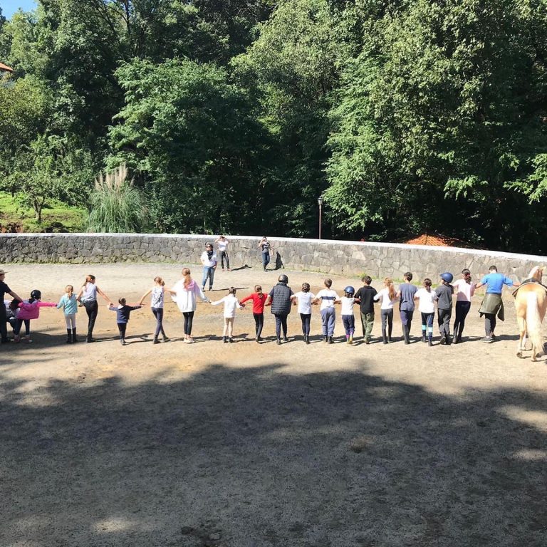 equinup verano a caballo curso de verano equinoterapia monta equitacion rueda 768x768