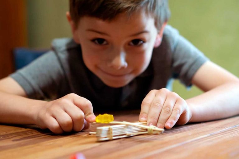 curso de verano de pauta ciencias 768x512