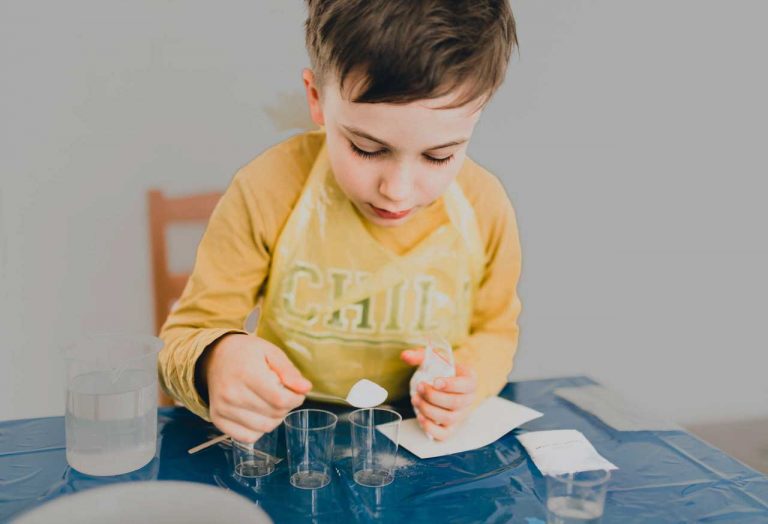 curso de verano de pauta ciencias catapulta stem experimentos 768x524