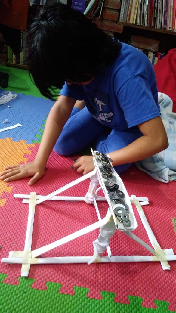 curso de verano de pauta ciencias catapulta
