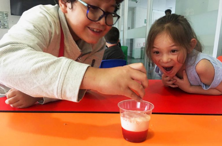 curso de verano pauta experimentos vaso 768x506