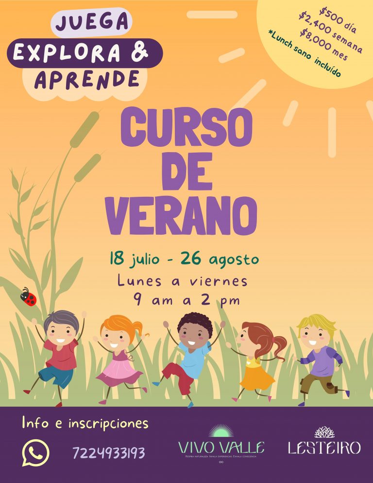 Copia de Copia de Curso de verano para niños 2022 768x994