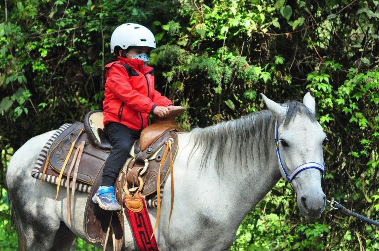 curso de verano para ninos ninas valle de bravo acatitlan caballos 768x510