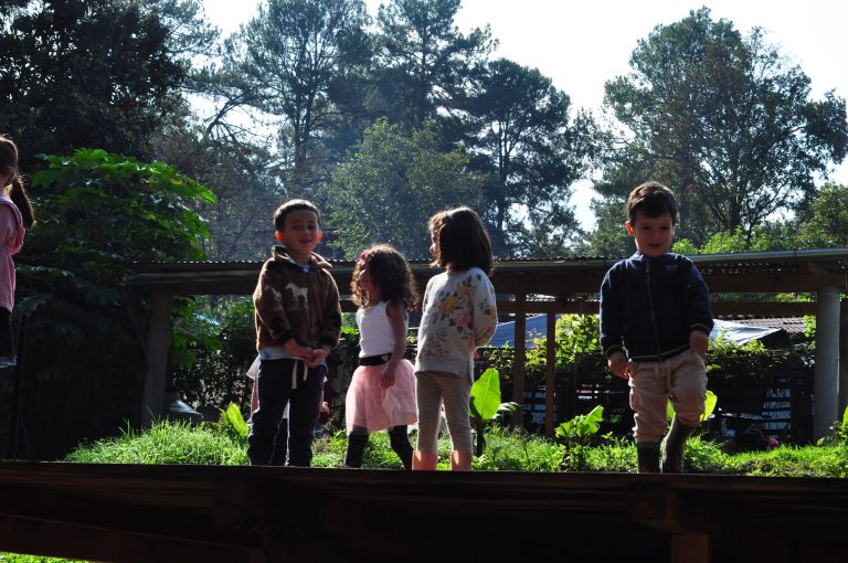 curso de verano para ninos ninas valle de bravo acatitlan campo 768x510